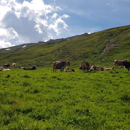 Вілла Agriturismo Malga Dell'Alpe Вальфурва Екстер'єр фото