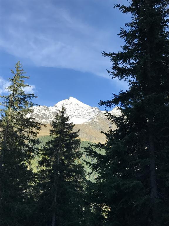 Вілла Agriturismo Malga Dell'Alpe Вальфурва Екстер'єр фото